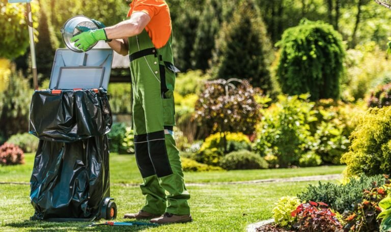 Spring & Fall Clean Ups